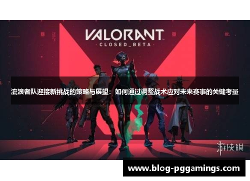 流浪者队迎接新挑战的策略与展望：如何通过调整战术应对未来赛事的关键考量