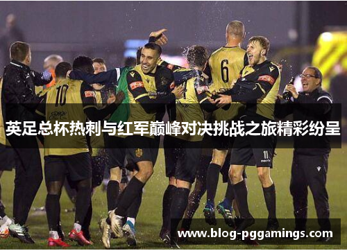 英足总杯热刺与红军巅峰对决挑战之旅精彩纷呈
