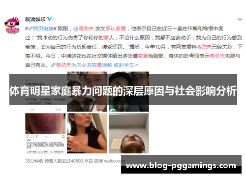 体育明星家庭暴力问题的深层原因与社会影响分析