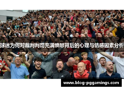 球迷为何对裁判判罚充满愤怒背后的心理与情感因素分析