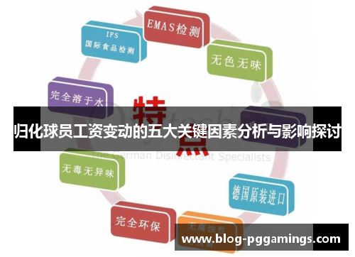 归化球员工资变动的五大关键因素分析与影响探讨