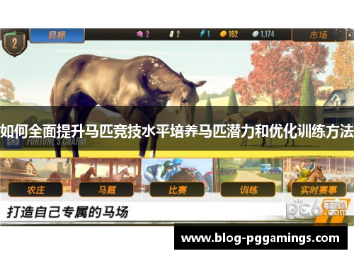 如何全面提升马匹竞技水平培养马匹潜力和优化训练方法