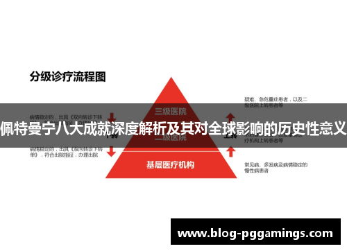 佩特曼宁八大成就深度解析及其对全球影响的历史性意义