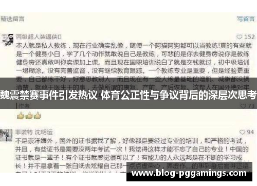 魏震禁赛事件引发热议 体育公正性与争议背后的深层次思考