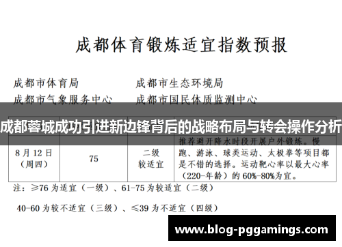 成都蓉城成功引进新边锋背后的战略布局与转会操作分析