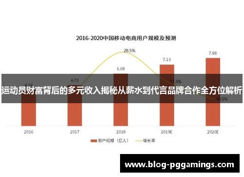 运动员财富背后的多元收入揭秘从薪水到代言品牌合作全方位解析